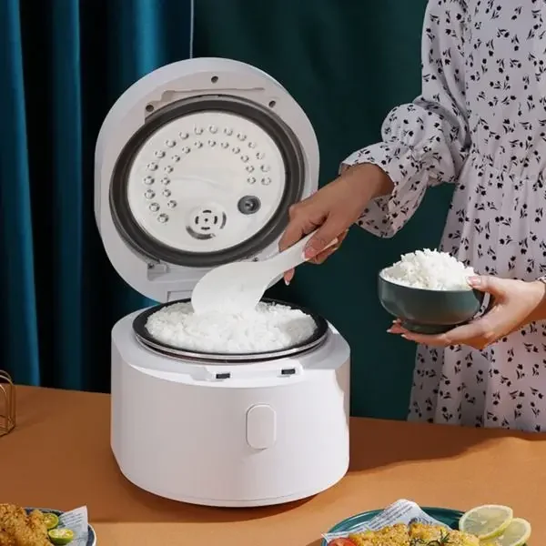 Olla arrocera inteligente de 1 - Kitchen Appliances Canada reseña y precio